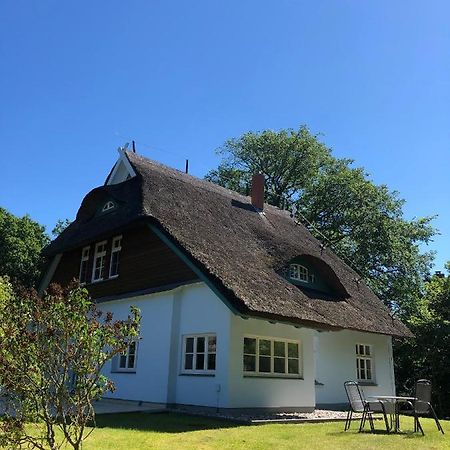 Haus Koppelweg Fw-Muschel Daire Ahrenshoop Dış mekan fotoğraf